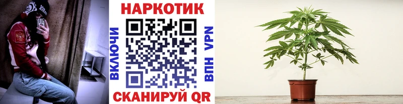 Купить закладку АМФ  Бутират  COCAIN  ГАШ  Галлюциногенные грибы  Бошки Шишки  Меф мяу мяу  Покровск