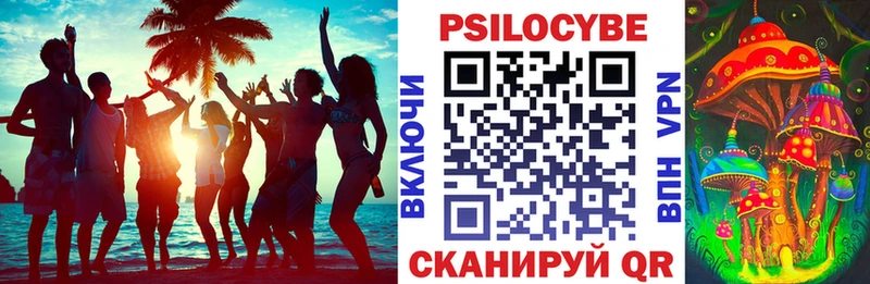 Галлюциногенные грибы Psilocybine cubensis  Купить закладки  Покровск 